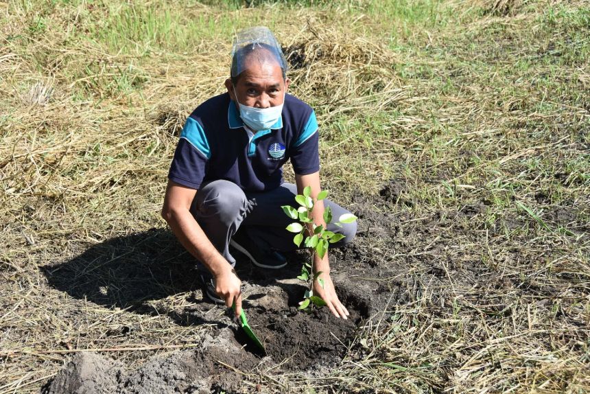 EC Simultaneous Line Clearing and Tree Planting Activity - Central ...