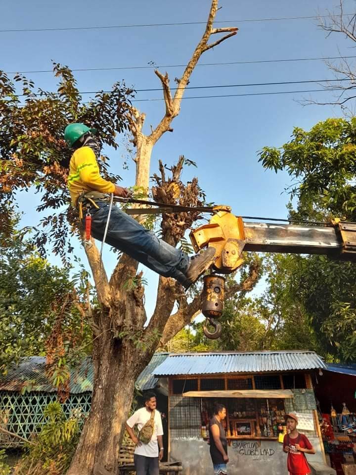 Bago Field Office Restored Power to 100% Households per January 21 ...