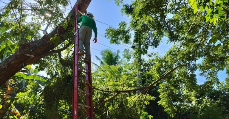 CENECO Holds Simultaneous Tree Planting and Line Clearing Activities to Mark NEA Month