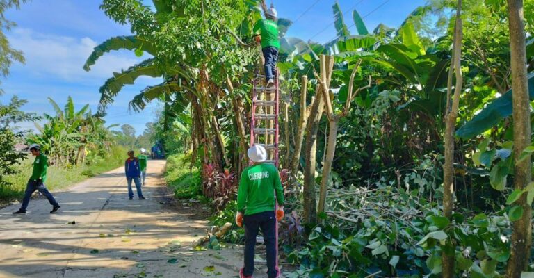 CENECO Holds Simultaneous Tree Planting and Line Clearing Activities to Mark NEA Month