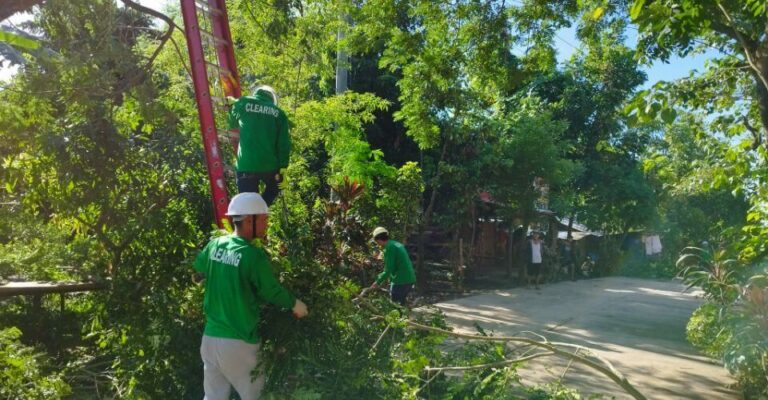 CENECO Holds Simultaneous Tree Planting and Line Clearing Activities to Mark NEA Month