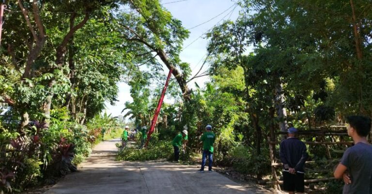 CENECO Holds Simultaneous Tree Planting and Line Clearing Activities to Mark NEA Month