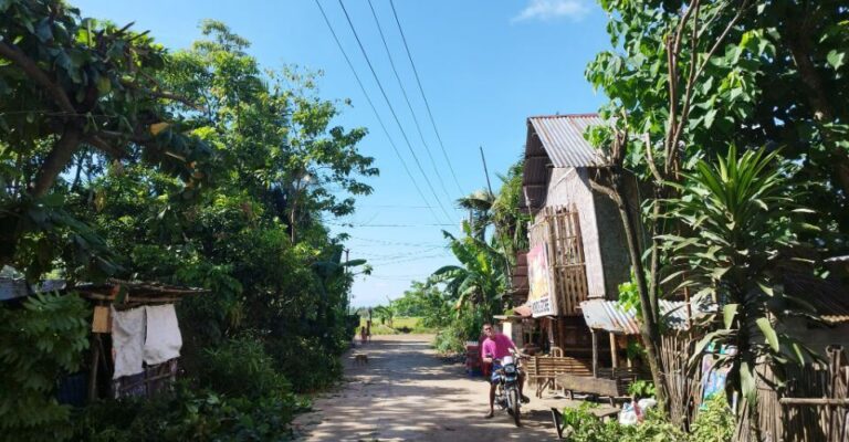 CENECO Holds Simultaneous Tree Planting and Line Clearing Activities to Mark NEA Month