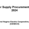 2024-2033 Power Supply Procurement Plan